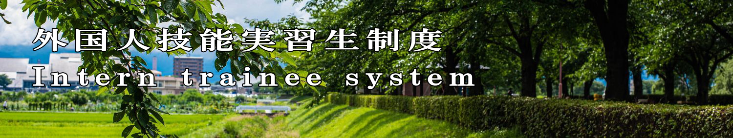 外国人技能実習生制度 Intern trainee system